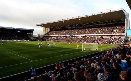 这种独特的 这种独特的